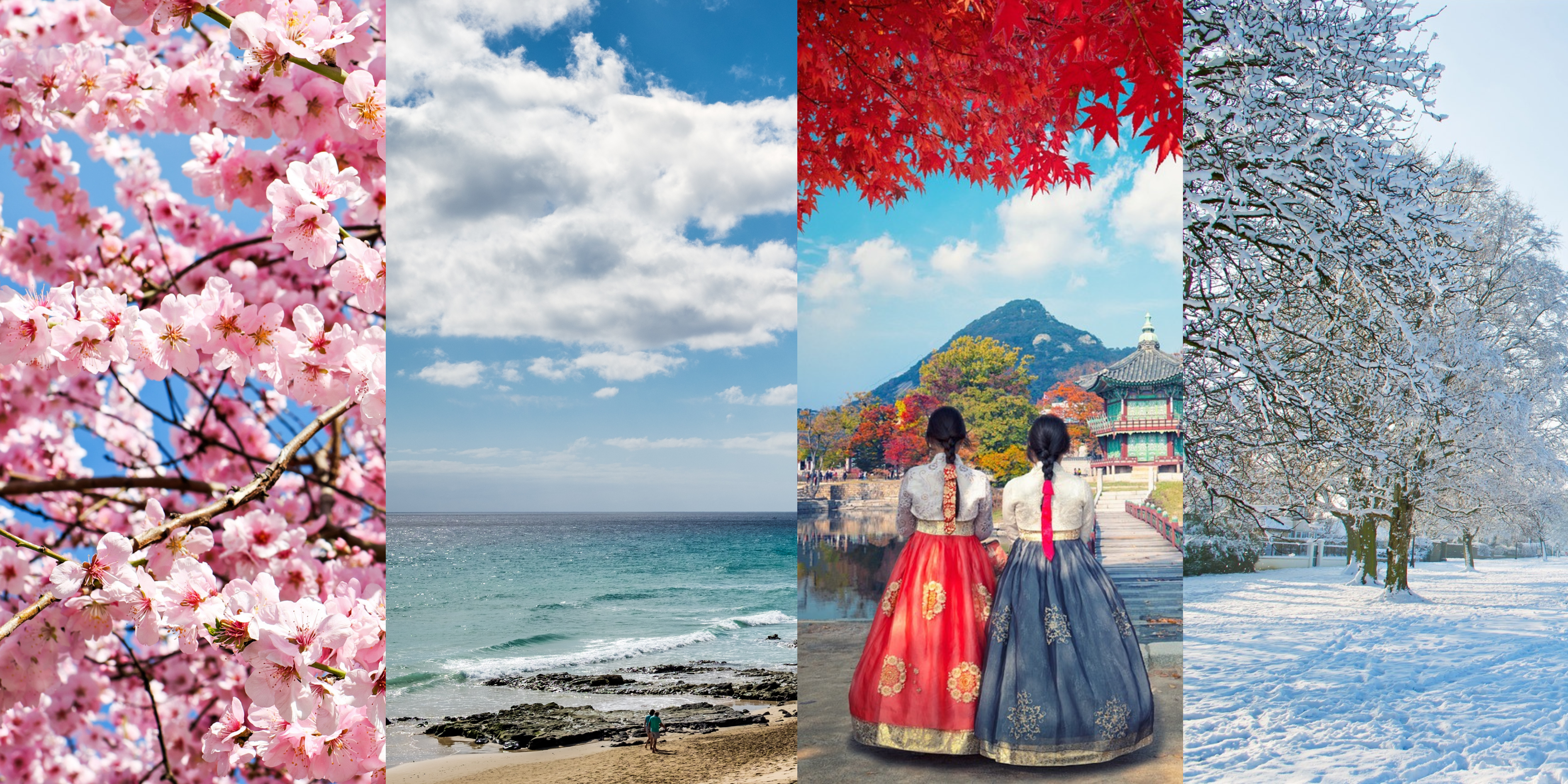 The Four Seasons in South Korea