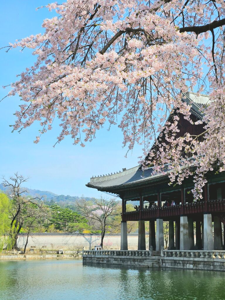 Spring is the best season to travel in Korea.